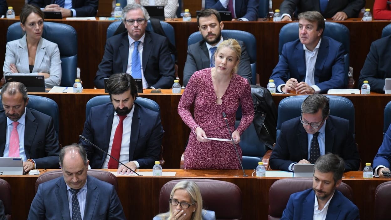 Elisa Adela Vigil, diputada del PP en la Asamblea de Madrid. EP.