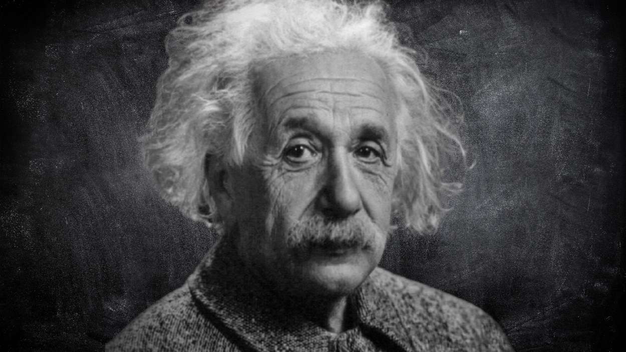 ¿Perezosos o muy inteligentes? La ciencia resuelve esta duda sobre los más dormilones