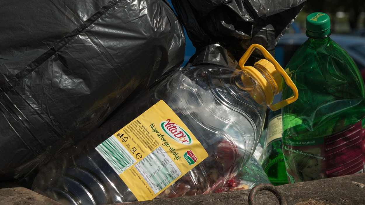 El 5 de junio se celebra el día mundial del medio ambiente
