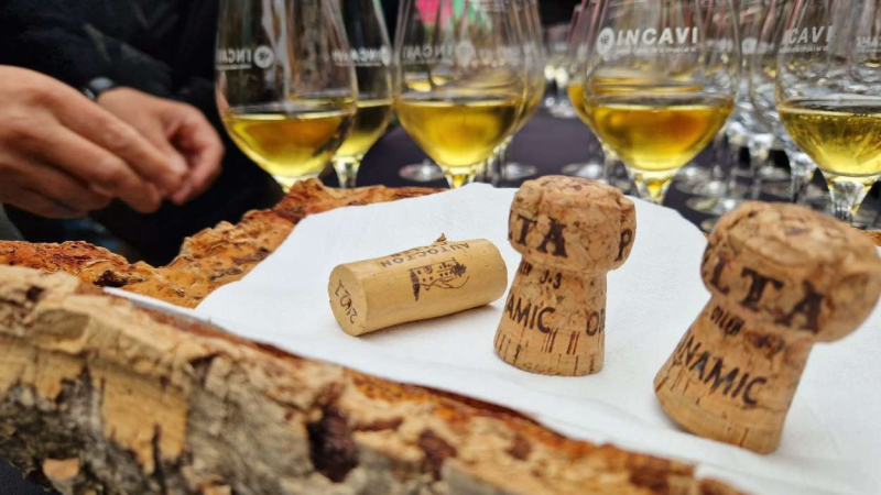 Se pueden pedir corchos de vino en bares y restaurantes Se pueden pedir corchos de vino en bares y restaurantes