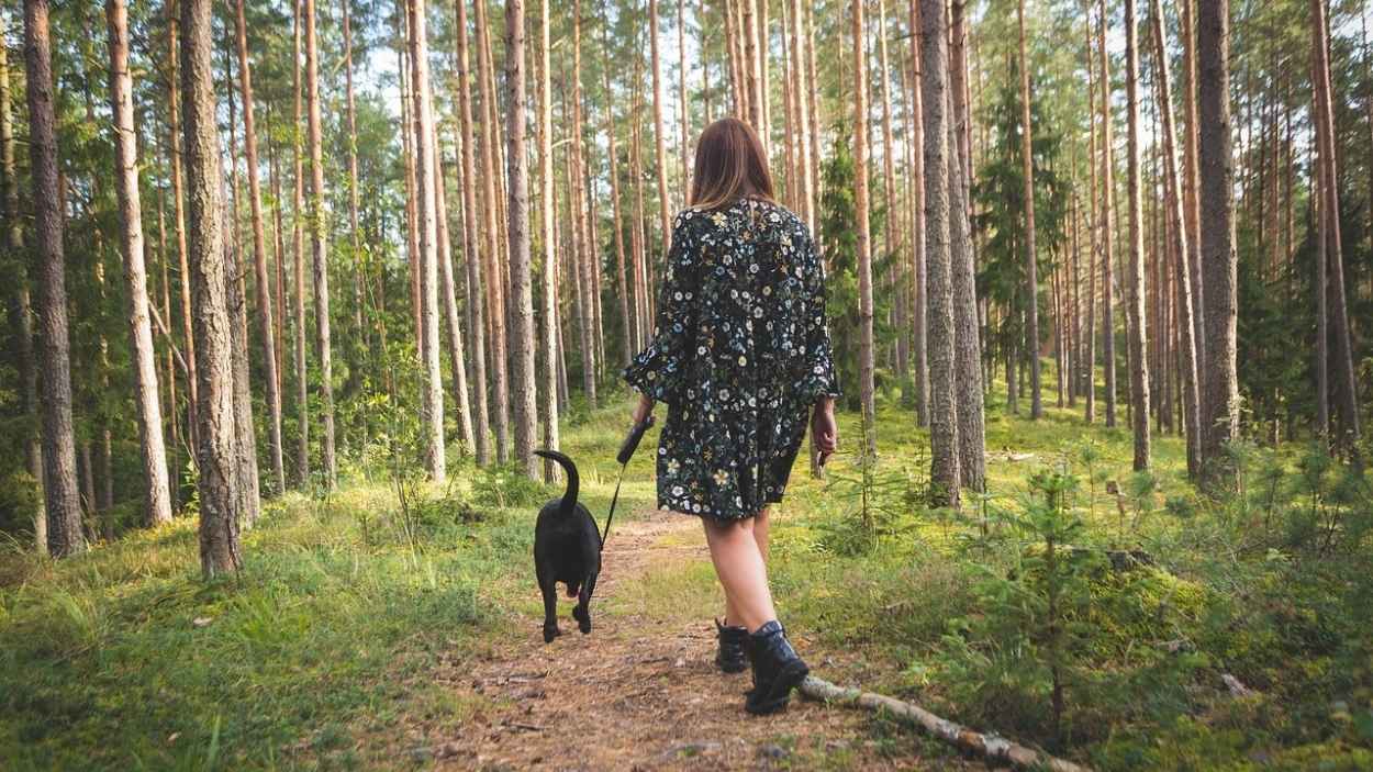 Una mujer camina por un bosque. Pixaby