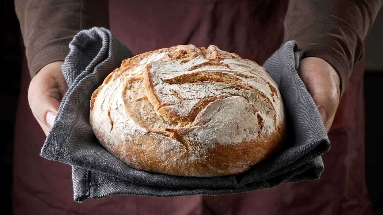 Pan fresco. Canva