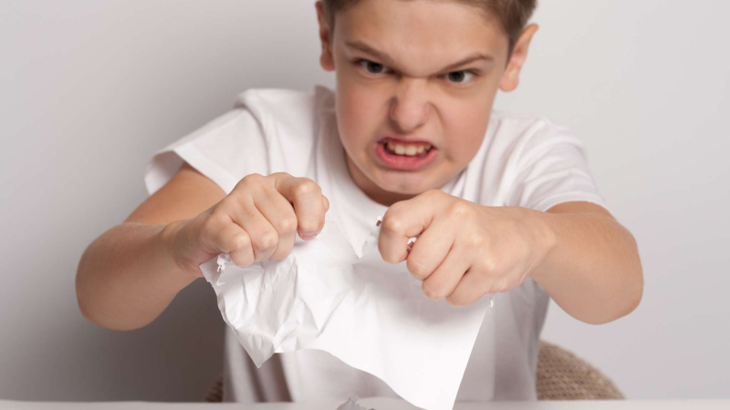 La irritabilidad no se activa de repente La irritabilidad no se activa de repente