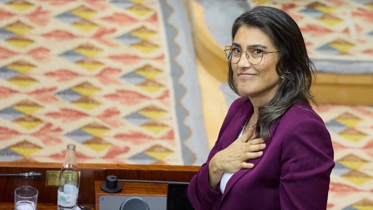 La portavoz de Más Madrid en la Asamblea, Manuela Bergerot. EP.