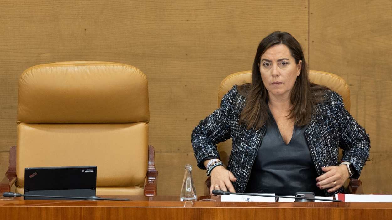 La vicepresidenta primera de la Asamblea de Madrid, Ana Millán Arroyo, durante un pleno en la Asamblea de Madrid. EP/Archivo.