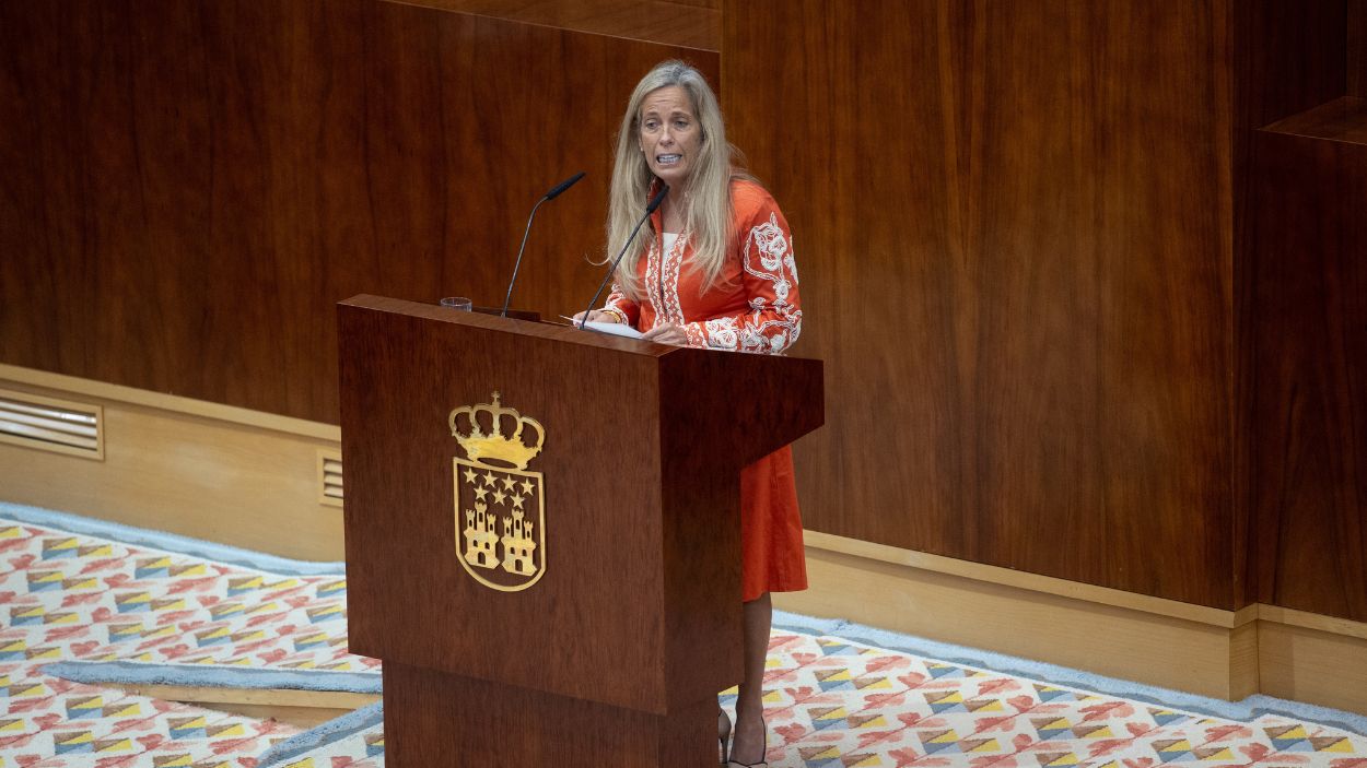 La consejera de Economía, Hacienda y Empleo de la Comunidad de Madrid, Rocío Albert. EP.