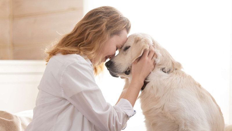 Contar con un perro en casa puede tener un impacto positivo en la salud diaria Contar con un perro en casa puede tener un impacto positivo en la salud diaria