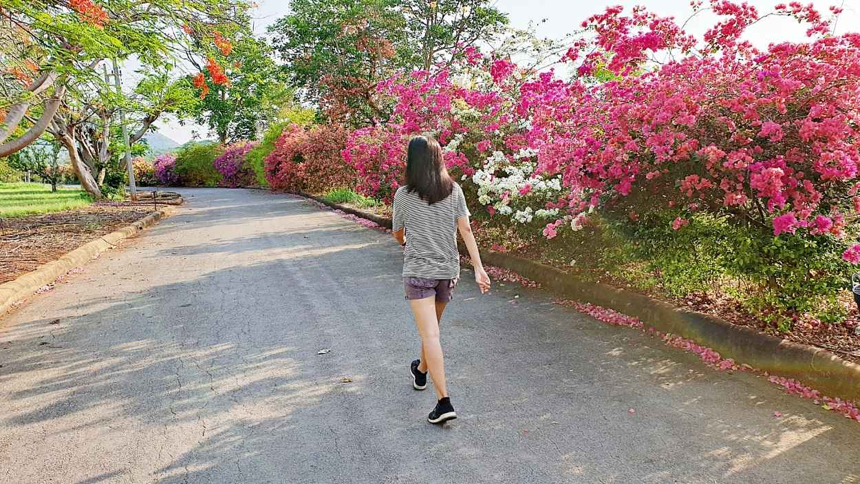 Una mujer paseando. Canva