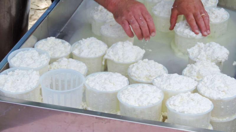 Una de las ventajas del queso fresco en su versatilidad Una de las ventajas del queso fresco en su versatilidad