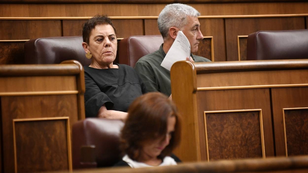 La portavoz de EH Bildu en el Congreso, Mertxe Aizpurua, y el diputado de EH Bildu, Oskar Matute, durante un pleno en el Congreso de los Diputados. EP/Archivo.