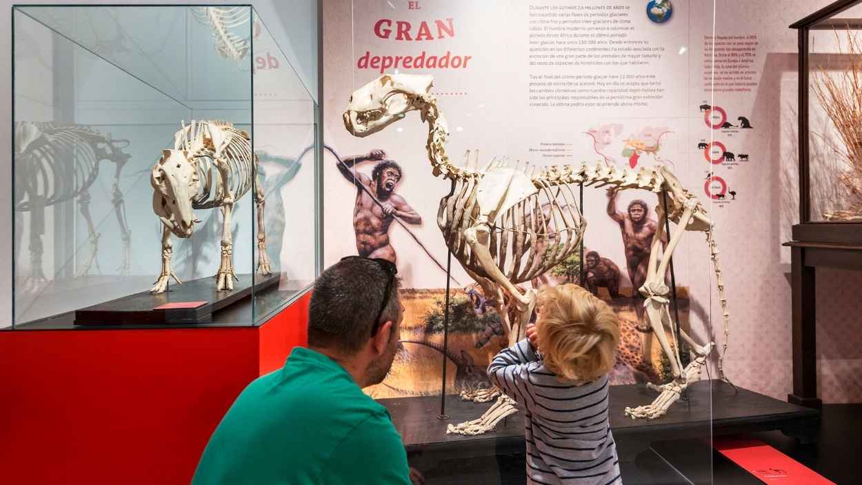 Museo de Ciencias Naturales de Los Yébenes (Toledo)