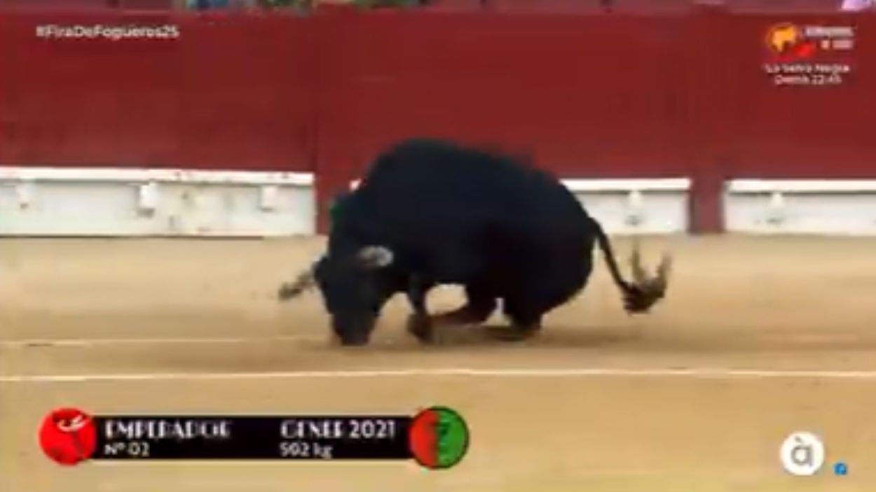 Retransmisión de À Punt.