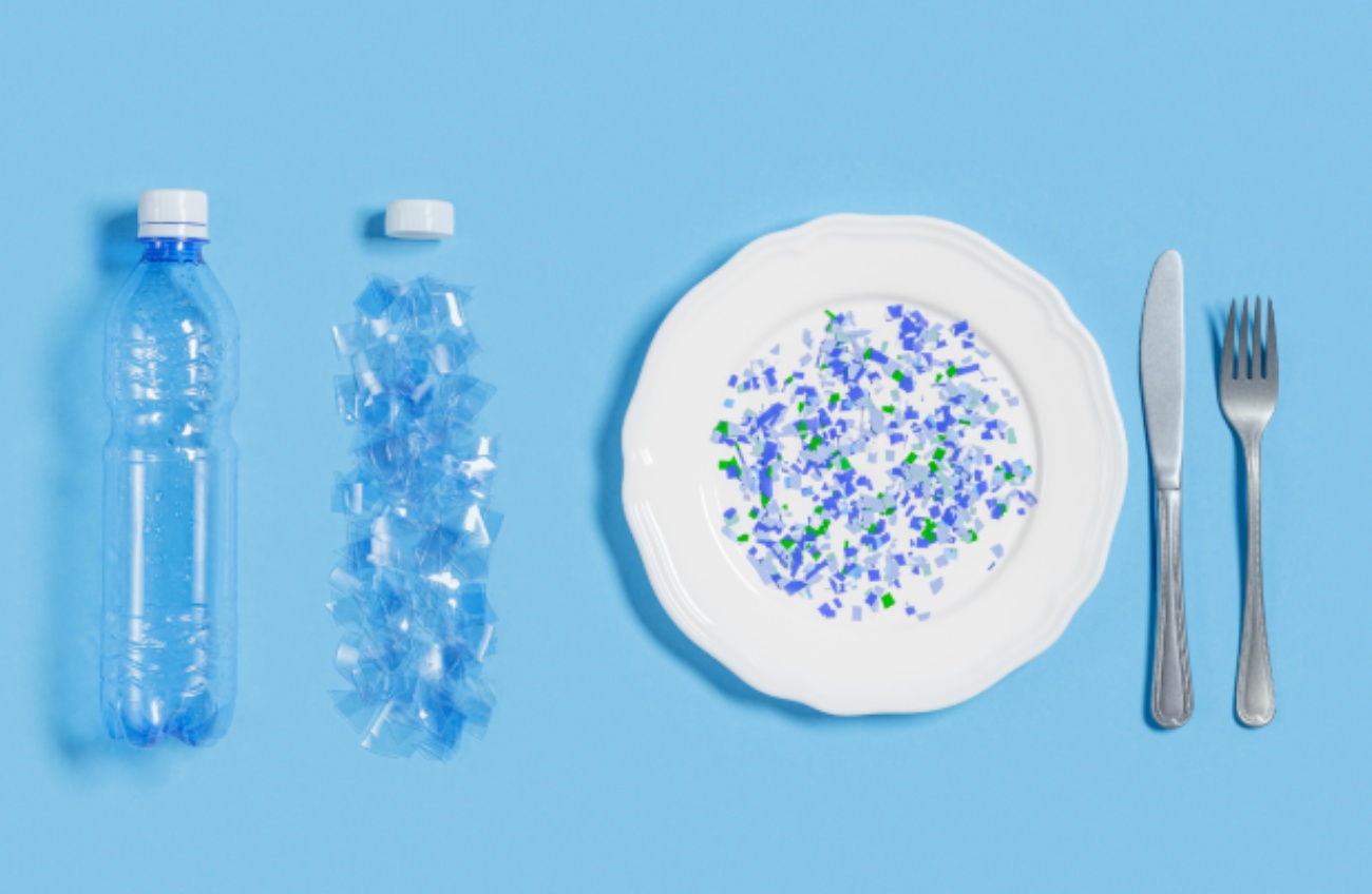 La disrupción endocrina que provocan, entre otras cosas, los microplásticos, se ha convertido en un problema de salud pública. (Foto: SEMG)