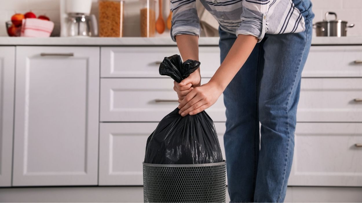 La basura de la cocina. Canva