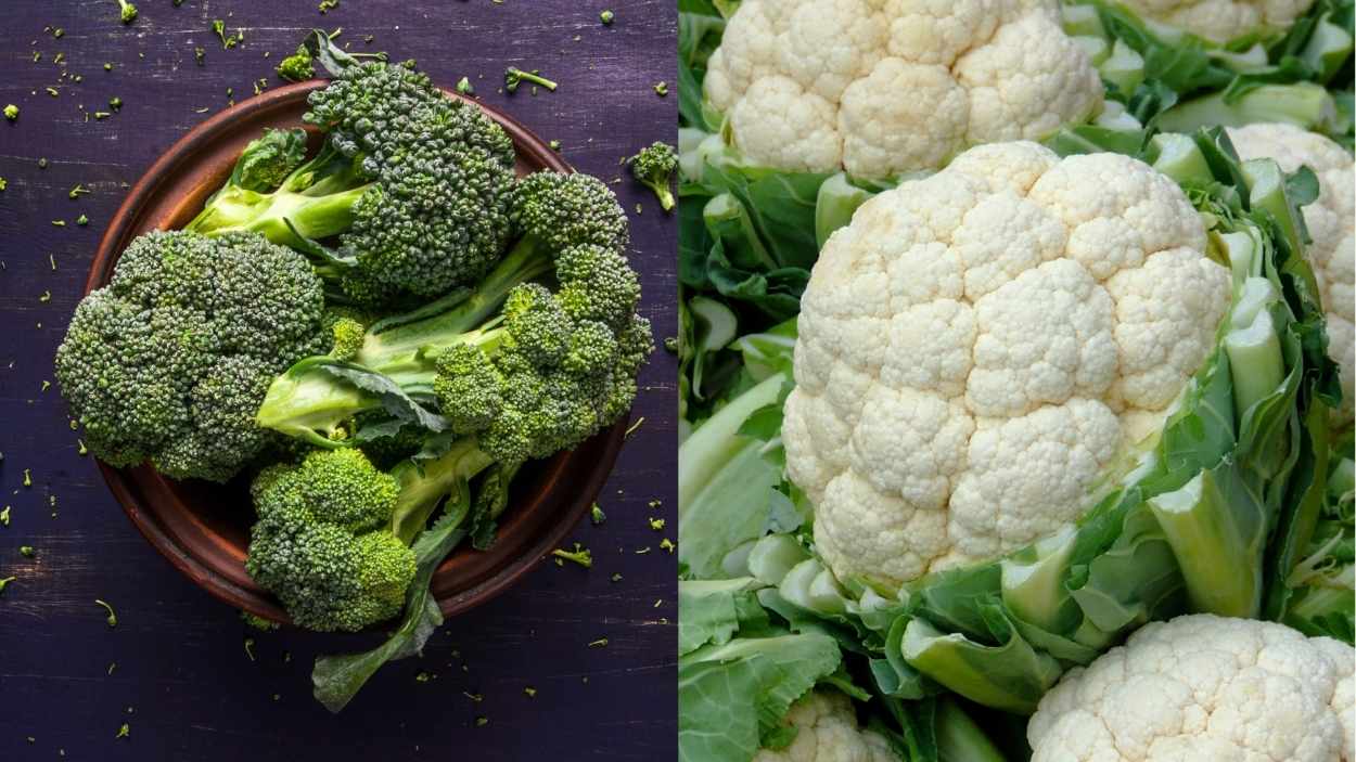 Brócoli y coliflor. Elaboración propia 