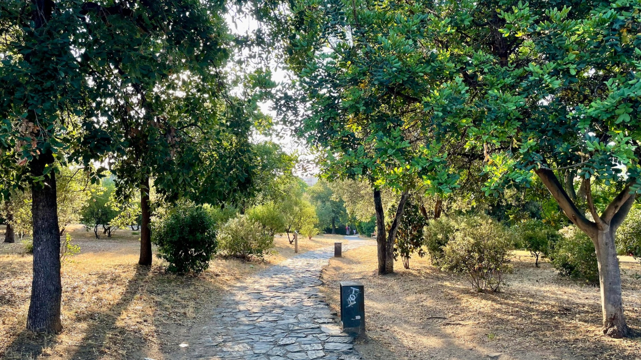 Camino del Parque Central de Mataró