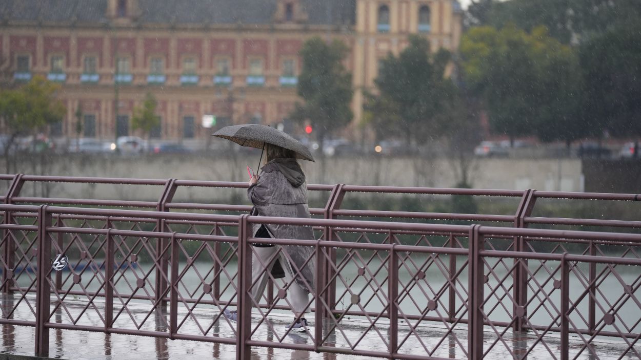 Una persona se protege de la lluvia con un paraguas. EP.