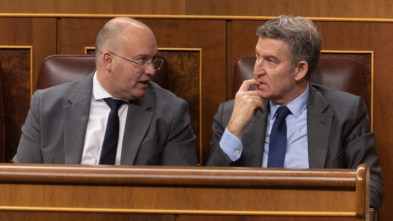 El secretario general del PP, Miguel Tellado, y el líder del PP, Alberto Núñez Feijóo. EP.