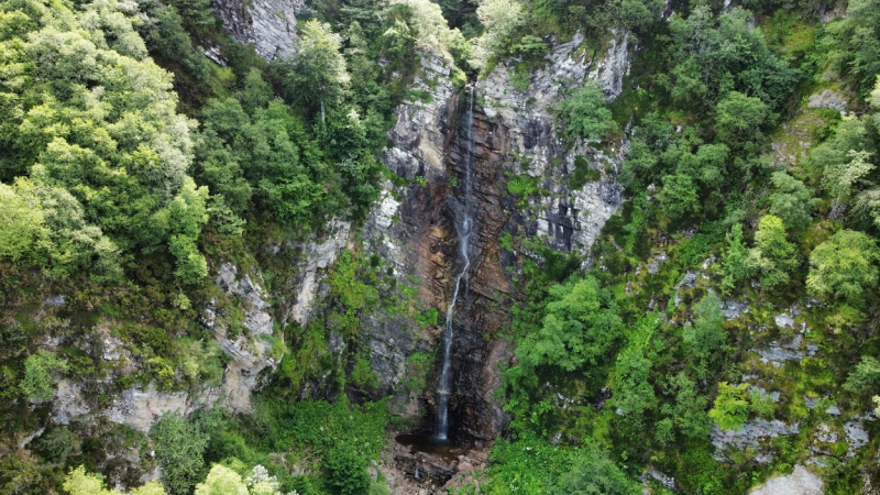 Tesoros naturales del entorno de Valgrande-Payares. Gobierno del Principado de Asturias