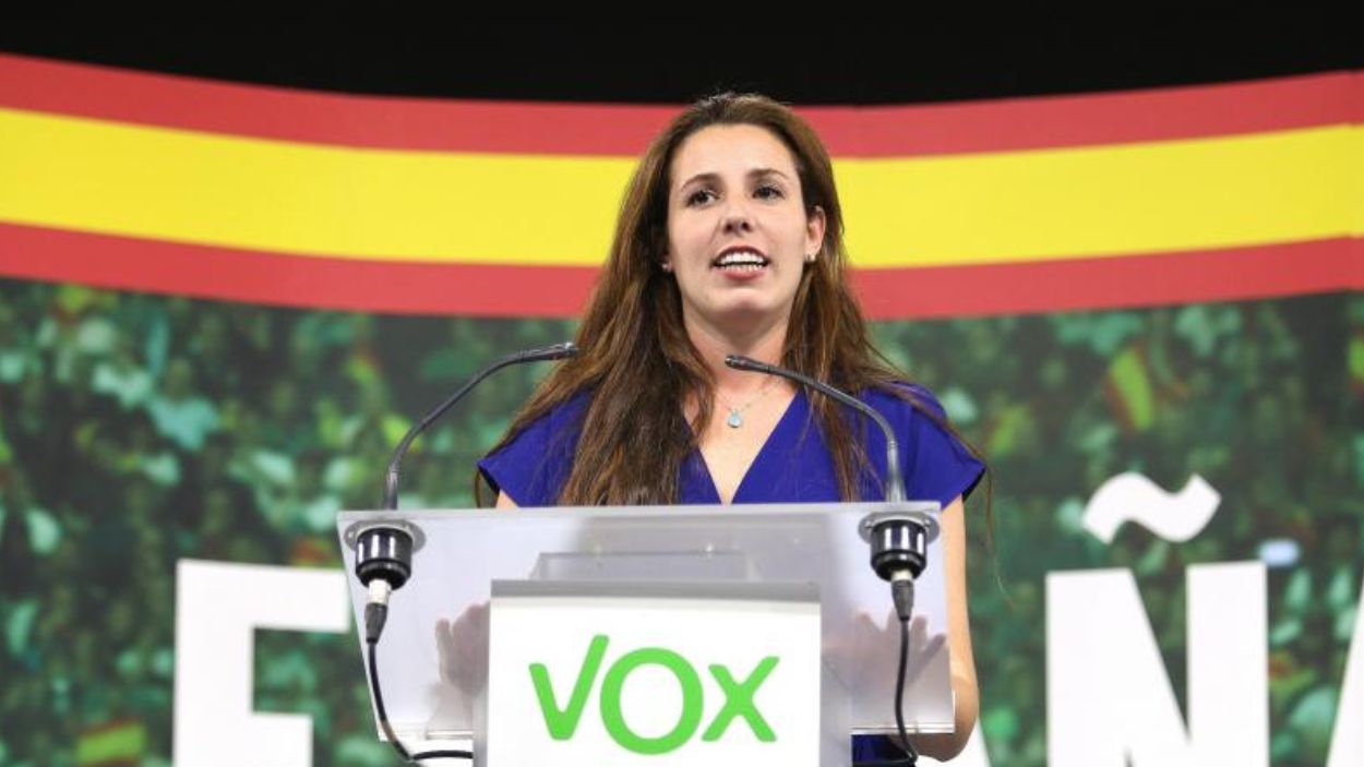 Rocío de Meer, portavoz de Vox, en una imagen de archivo. EP.