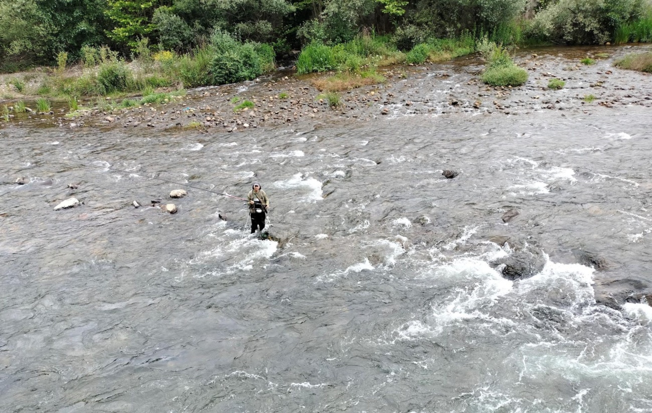 La temporada de pesca del salmón en los ríos de Asturias se cierra con datos alarmante. (Foto: Coordinadora Ecologista de Asturias)