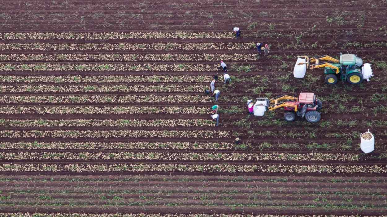 Imagen de archivo de un campo trabajado. EP