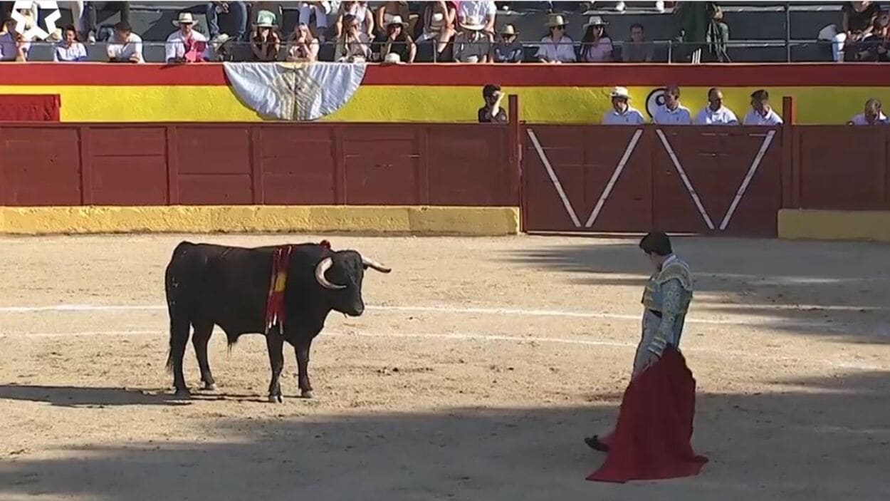 Retransmisión en Telemadrid de la novillada en Valdetorres del Jarama. Telemadrid.