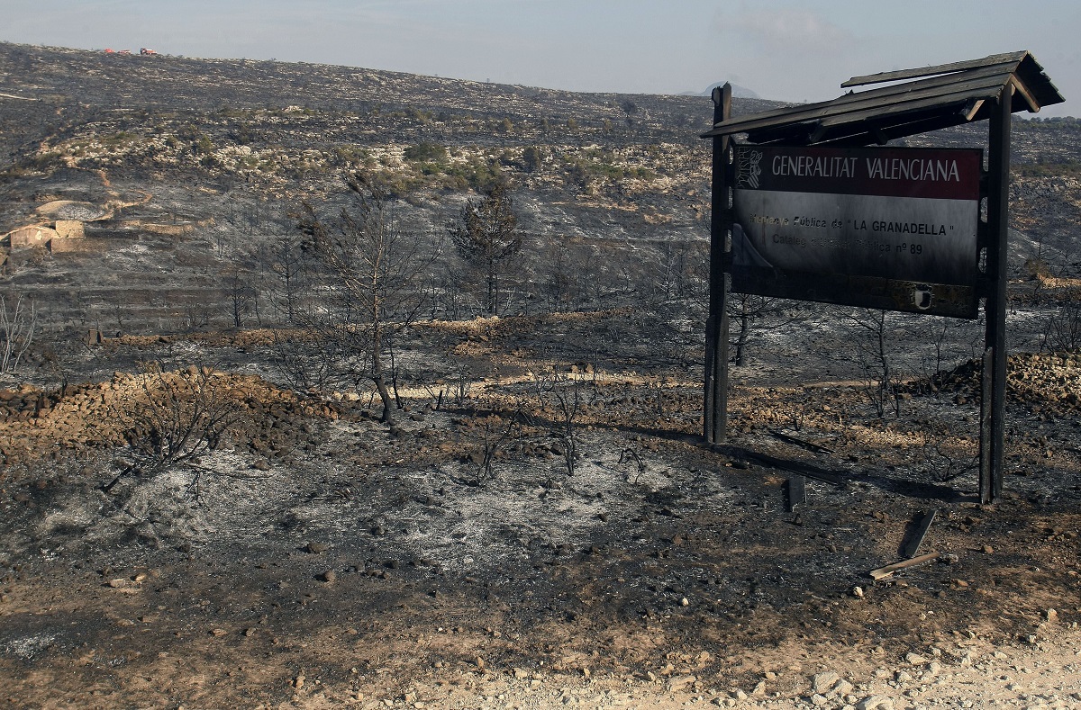Terreno quemado tras un incendio en Alicante