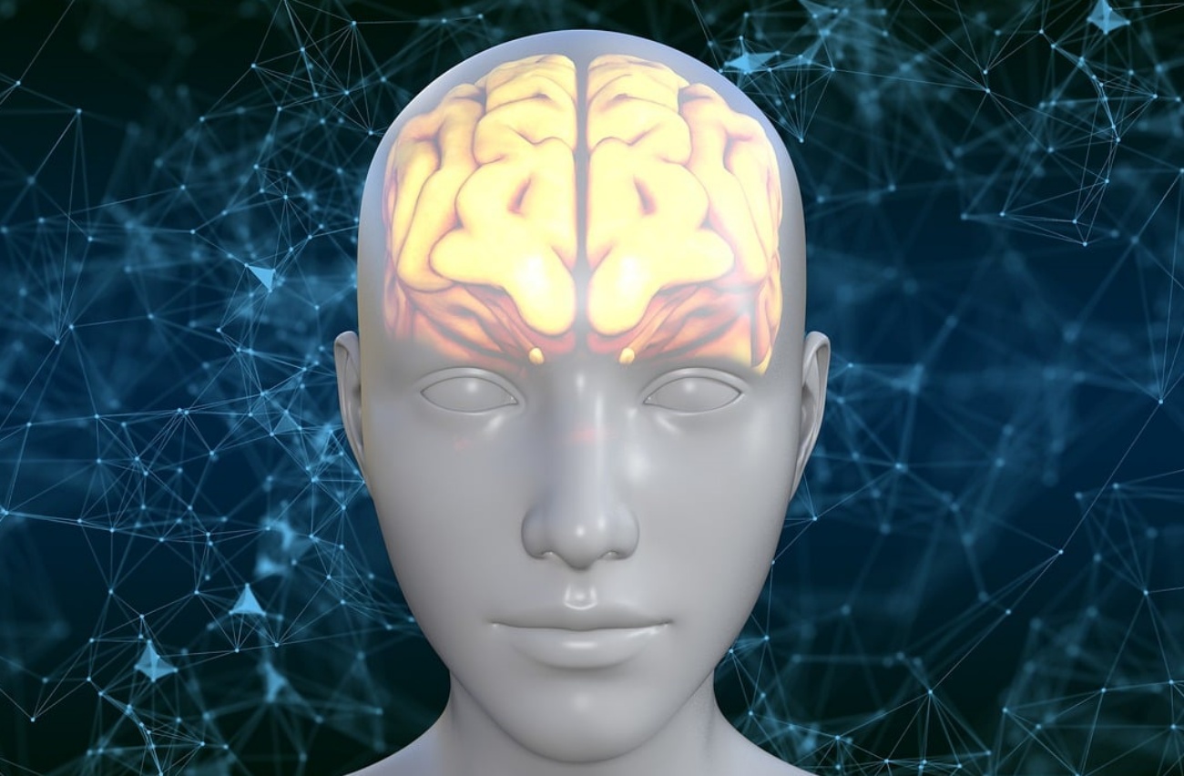 Según la SEN, el 90% de los casos de ictus y el 40 de los de Alzheimer pueden evitarse manteniendo saludable el cerebro. (Foto: Pixabay)