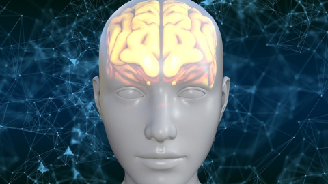 El 90% de los ictus y el 40% de los casos de Alzheimer pueden evitarse