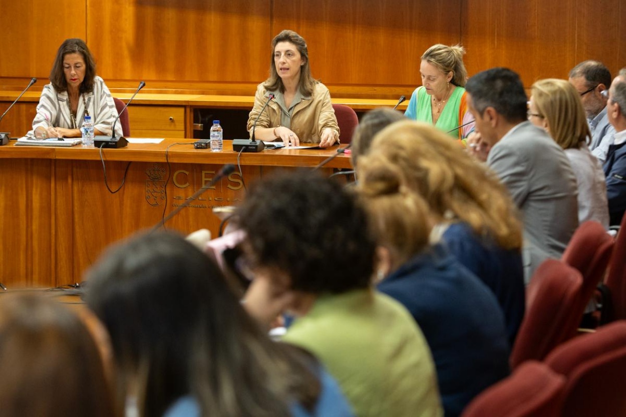Imagen de la conselleira de Medio Ambiente, Ángeles Vázquez, durante el pleno del COGAMADS celebrado hoy miércoles (Foto: Xunta de Galicia).
