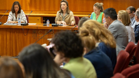 Las entidades ecologistas dan la espalda al Consello Galego de Medio Ambiente