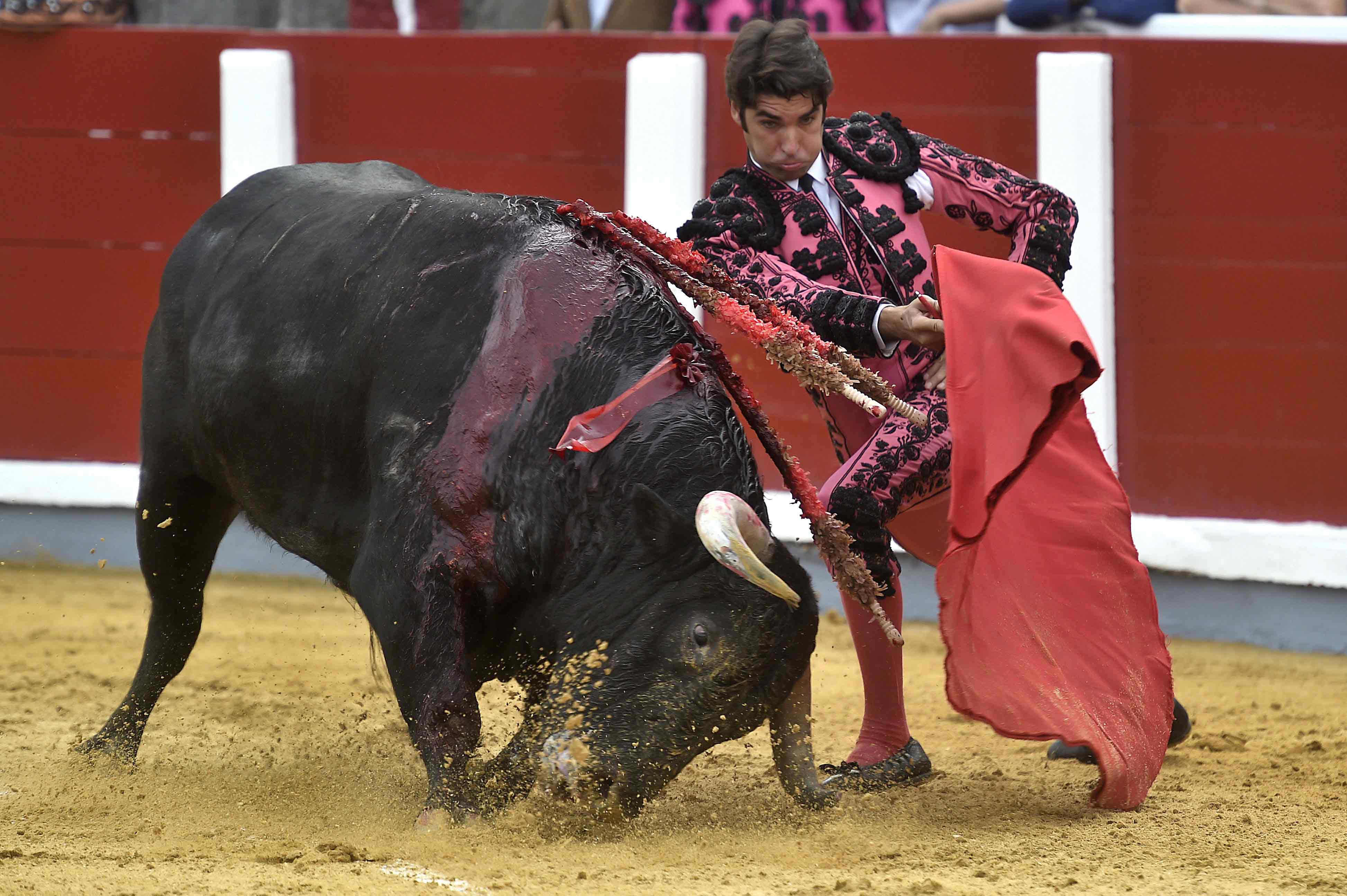 El torero Cayetano Rivera Ordoñez, en un momento de su corrida de toros en Santoña. 