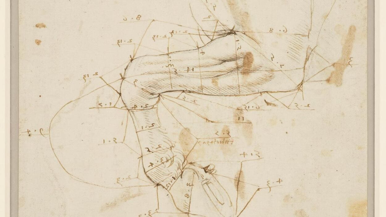 Dibujo de la parte delantera de un caballo. Hacia 1490-92. Dibujos de Leonardo da Vinci. Plomo, pluma y tinta. Royal Collection Trust. Fundación "la Caixa"