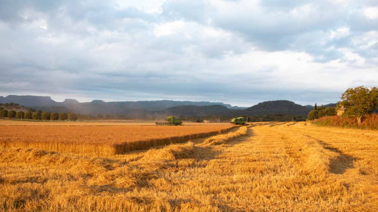Cataluña Región Mundial de la Gastronomía 2025