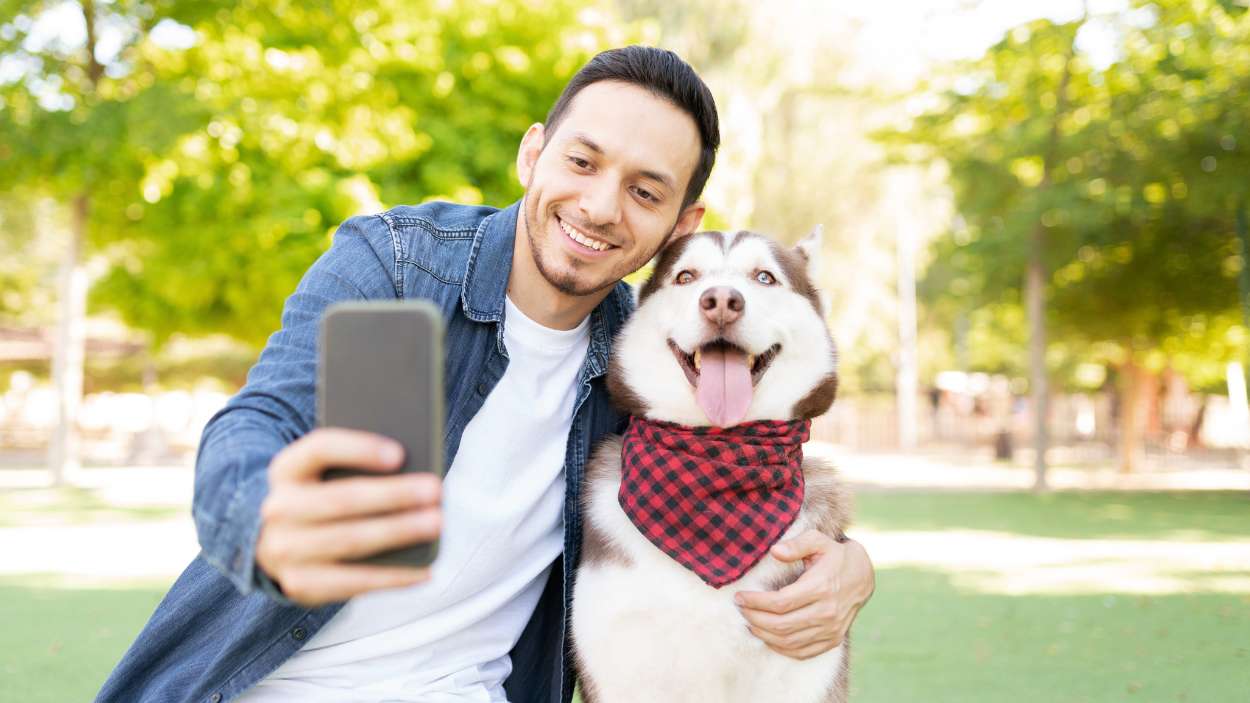 ¿Te vas de vacaciones con tu mascota Esto es lo que debes saber para viajar por Europa