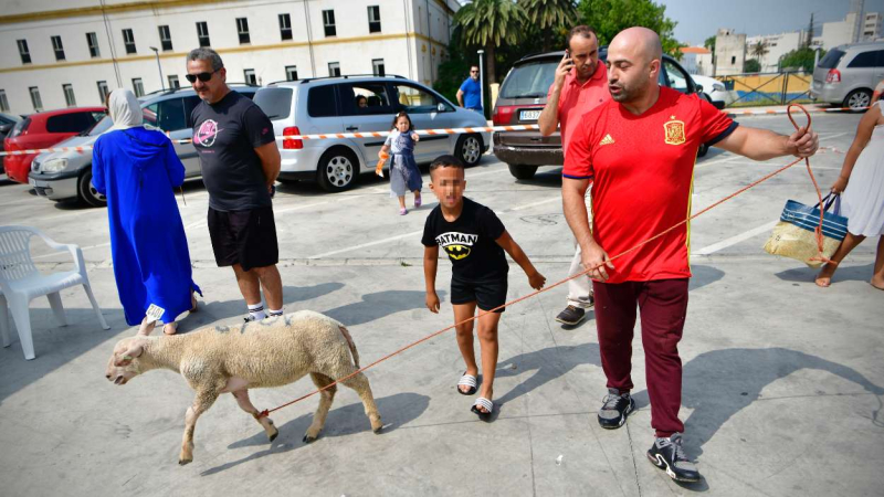 Fiesta del Cordero en Ceuta. EP.