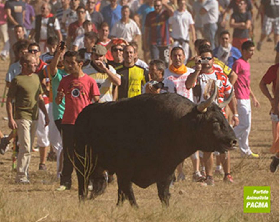 Imagen de archivo del festejo del Toro de la Vega en la localidad de Tordesillas en 2015 