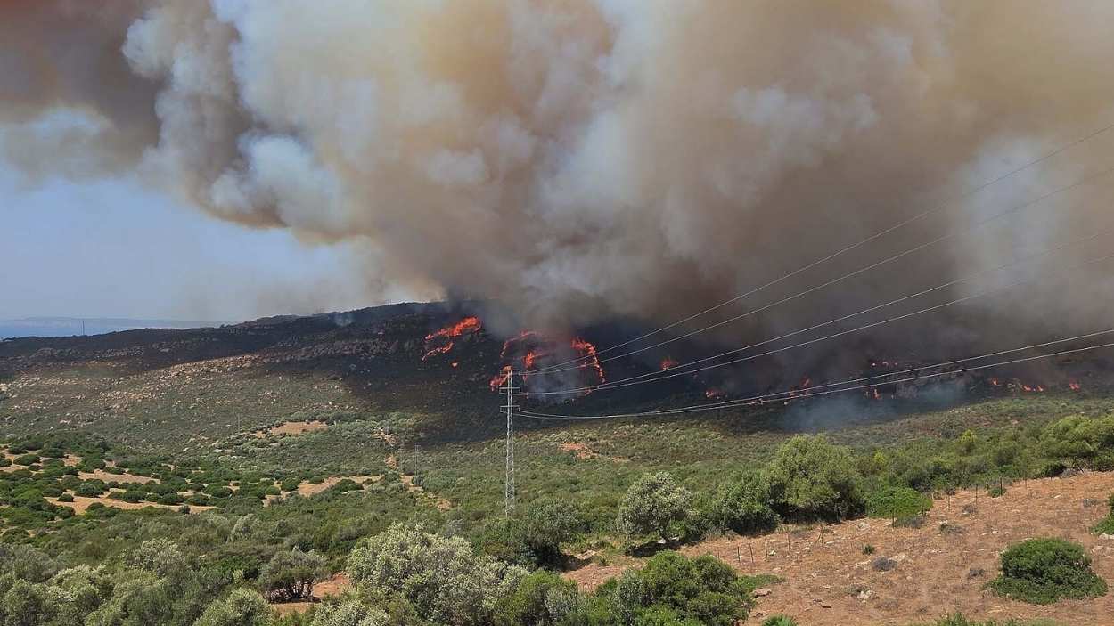 El incendio en Tarifa. EP