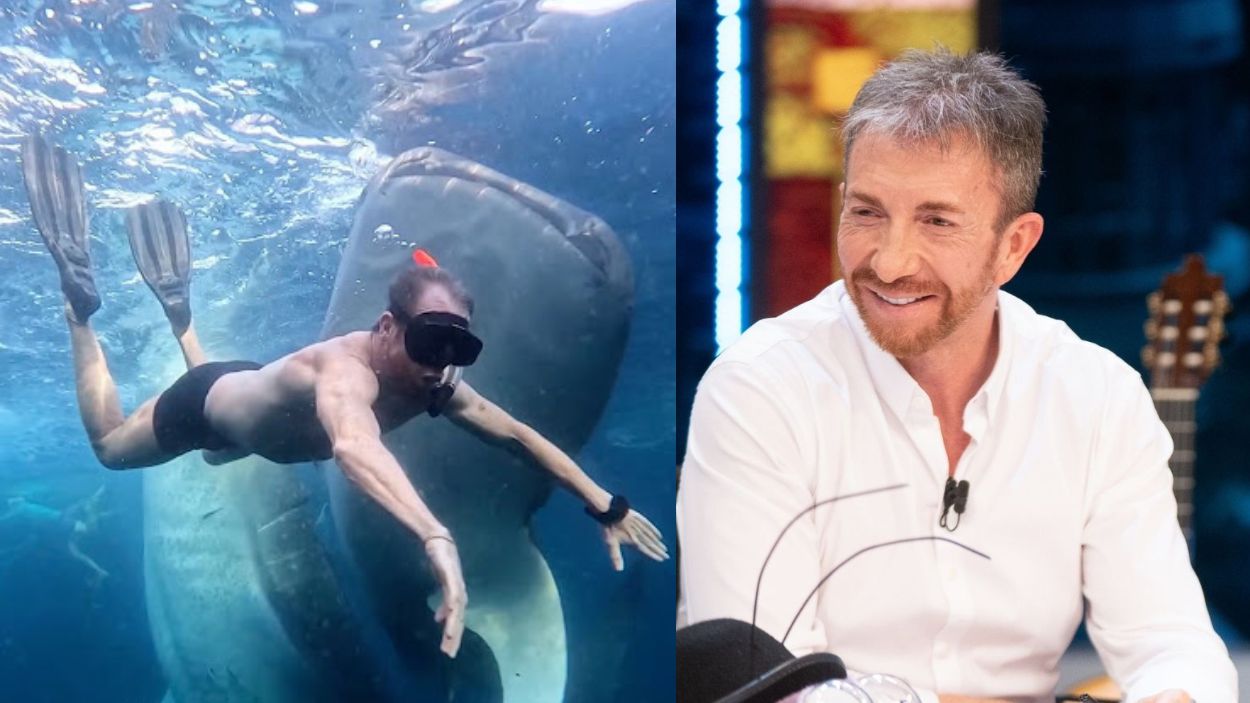 Pablo Motos nadando junto a tiburones ballena en Indonesia.