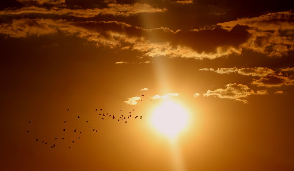 Agosto bate récords de temperatura, y ya van 11 meses seguidos Agosto bate récords de temperatura, y ya van 11 meses seguidos