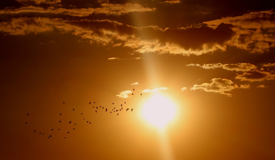 Agosto bate récords de temperatura, y ya van 11 meses seguidos