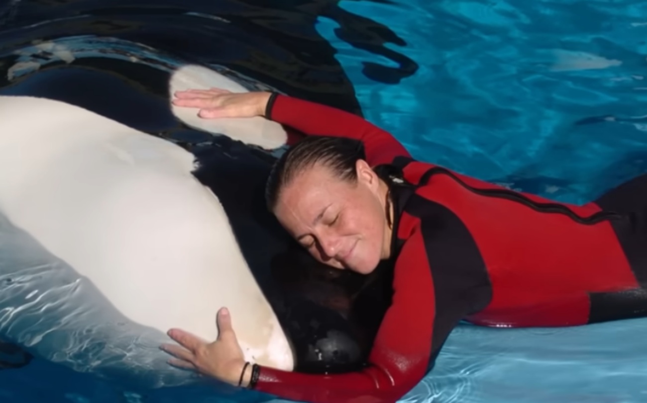 Dawn Banchau junto a la orca Tilikum. (Foto: YouTube)