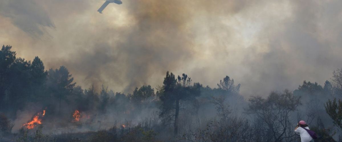 Cómo avanza (y muere) la ola de calor mientras las llamas arrasan media España