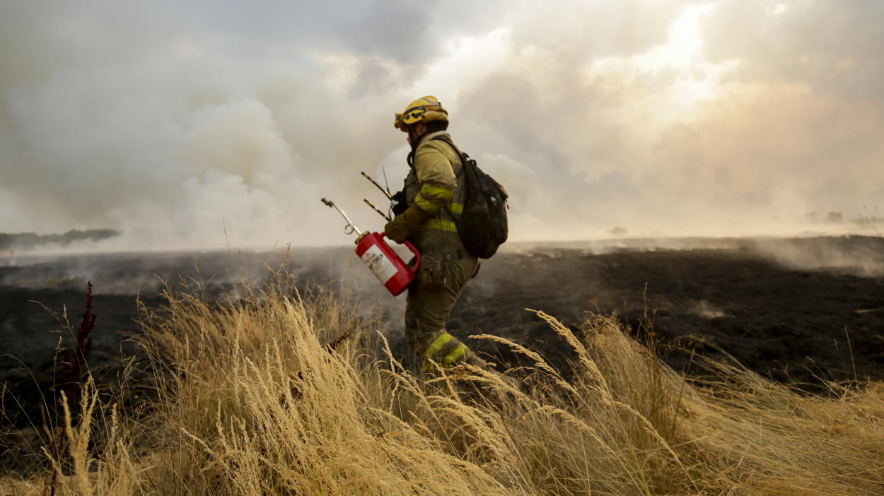Radiografía del bombero forestal, precario a lo largo y ancho de España. EP.