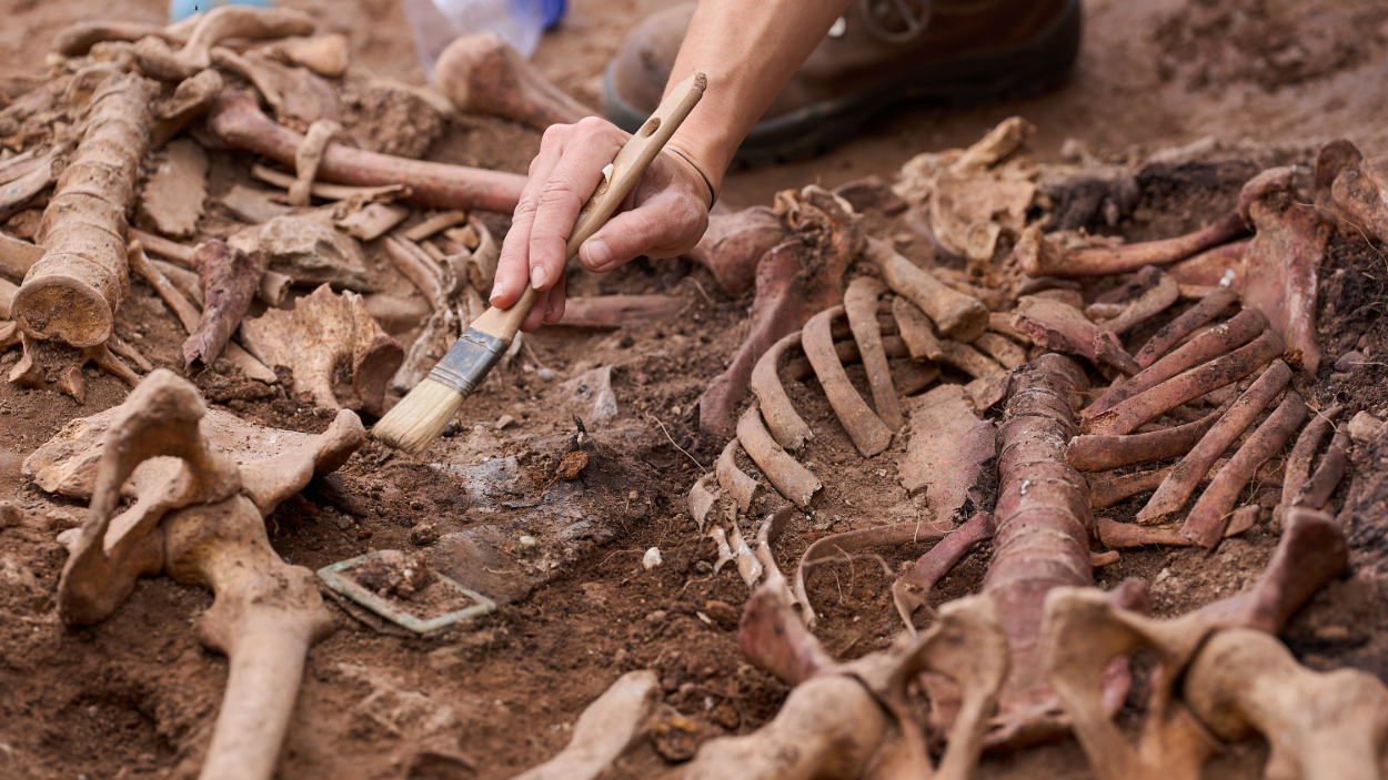 Restos óseos humanos encontrados en la excavación de una fosa en Cataluña