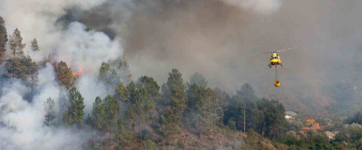 Radiografía de los incendios en España: 40 focos activos mantienen en vilo a Ourense, León, Zamora y Cáceres