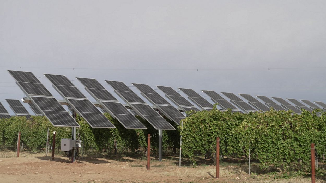 Planta agrovoltaica de Iberdrola en Castilla La Mancha