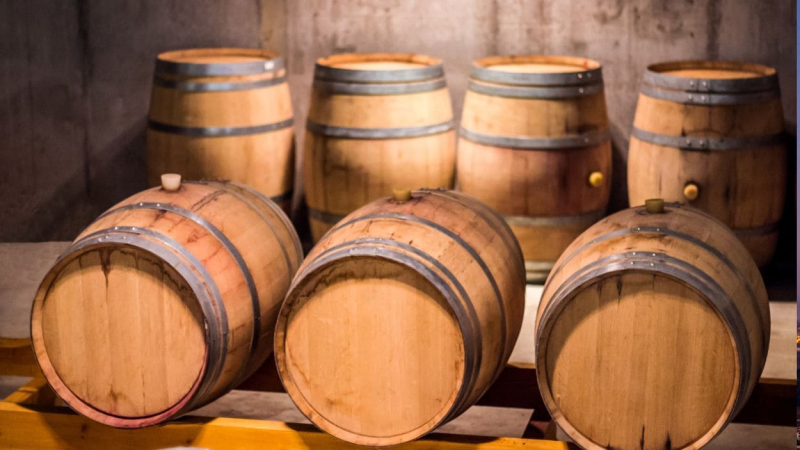 bodega penedes