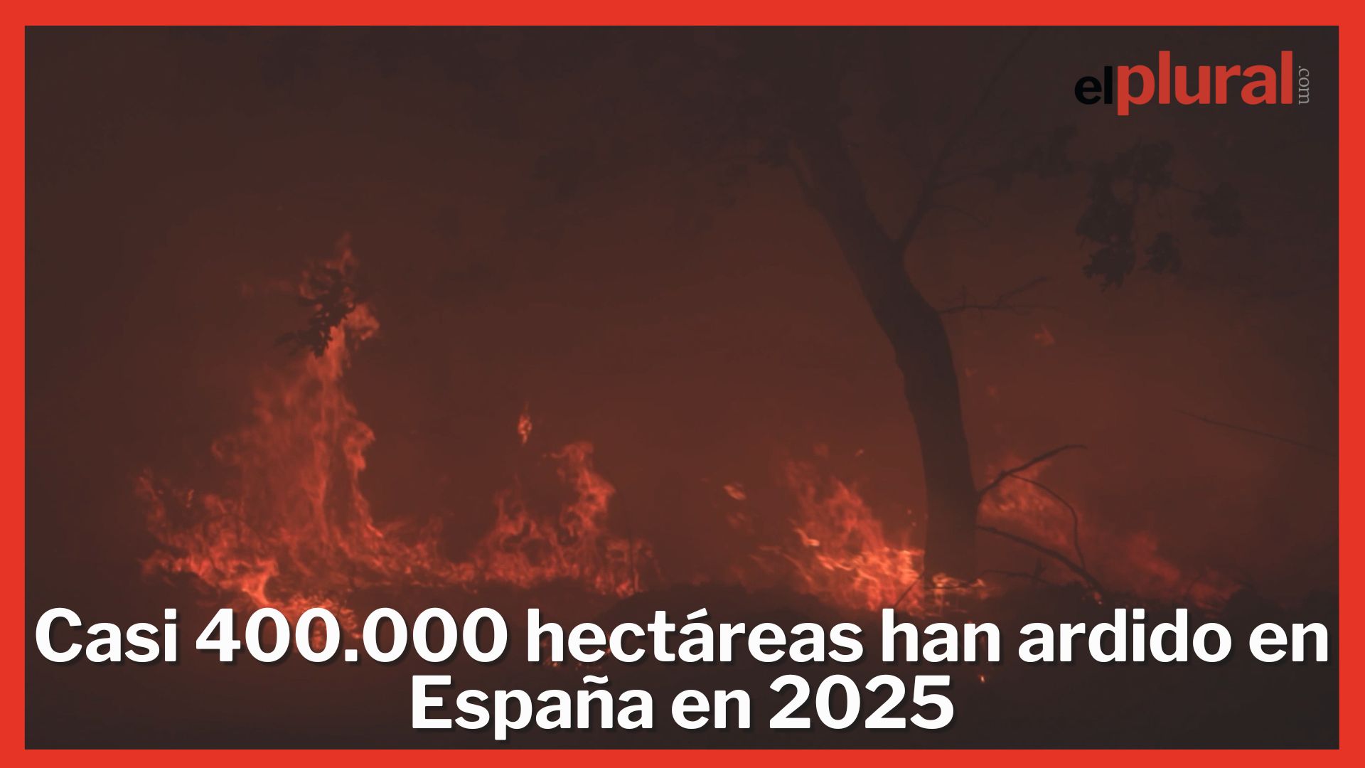 Casi 400.000 hectáreas han ardido en España este 2025, la mayor parte en agosto
